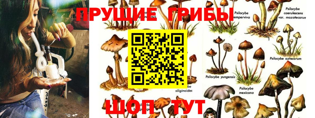 Каменск-Шахтинский  Галлюциногенные грибы Magic Shrooms  цены   Вход с VPN 