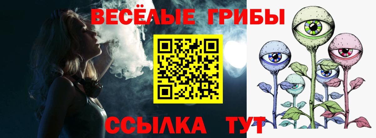 Галлюциногенные грибы мухоморы Каменск-Шахтинский